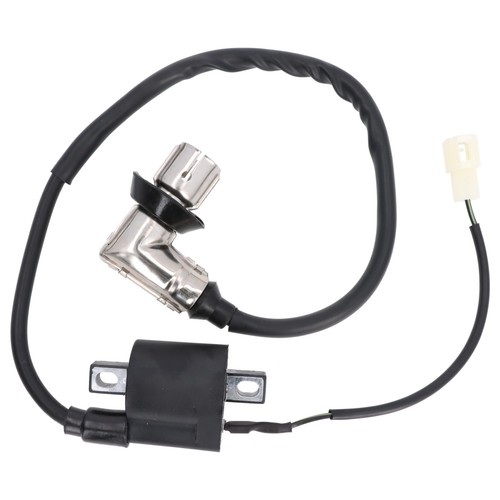 Ignition coil with - , plug