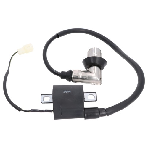 Ignition coil with spark plug